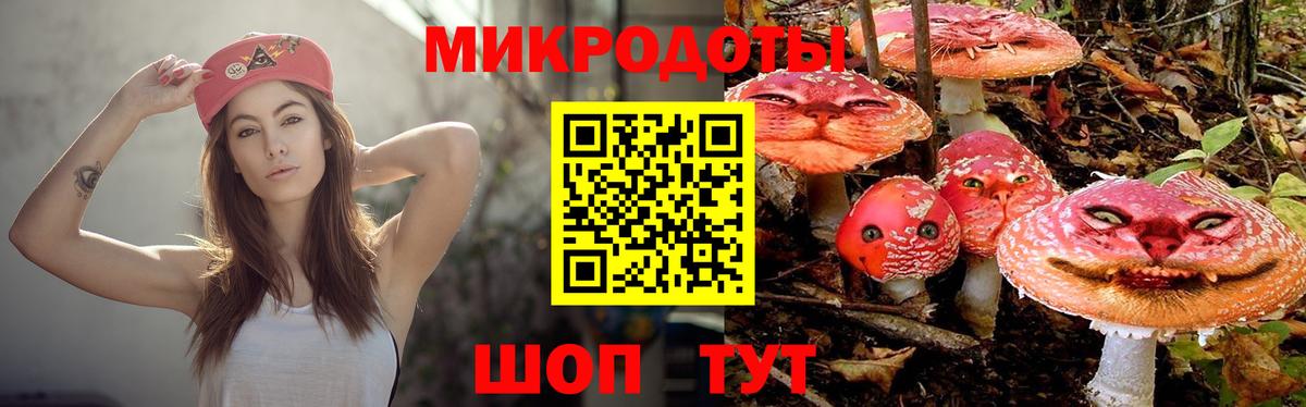 Бутурлиновка  Псилоцибиновые грибы Psilocybine cubensis  Вход с VPN  цены наркотик  Псилоцибиновые грибы мицелий 